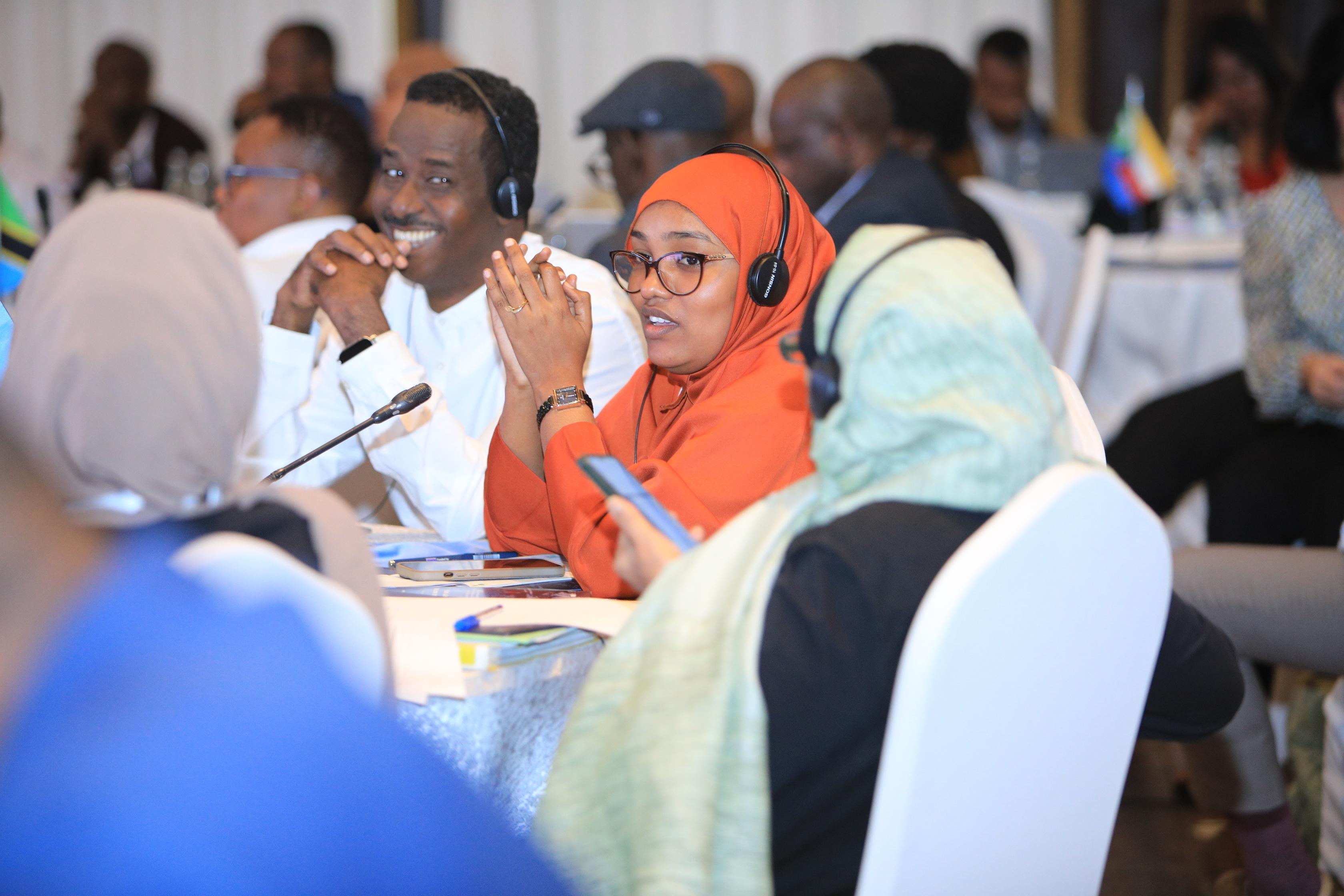 Djibouti Code of Conduct (DCoc)